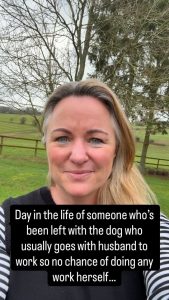 Day in the life. Dog version.